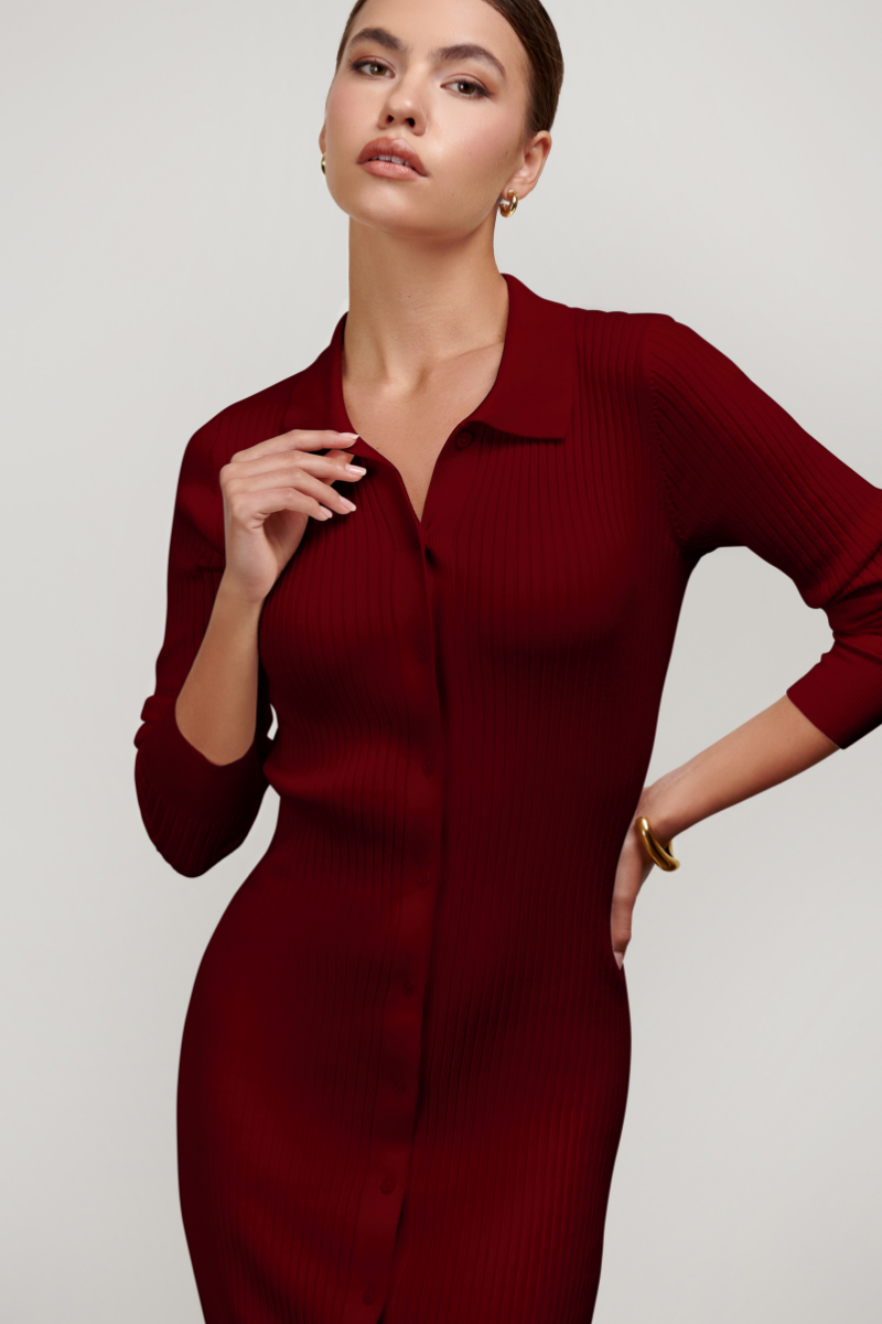 Zara Collared Long-sleeved Knit Dress - Burgundy Parallel 51 Zara Collared Long-sleeved Knit Dress - Burgundy Parallel 51