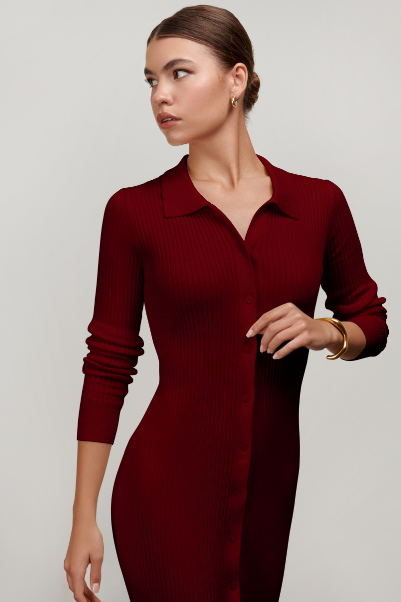Zara Collared Long-sleeved Knit Dress - Burgundy Parallel 51 Zara Collared Long-sleeved Knit Dress - Burgundy Parallel 51