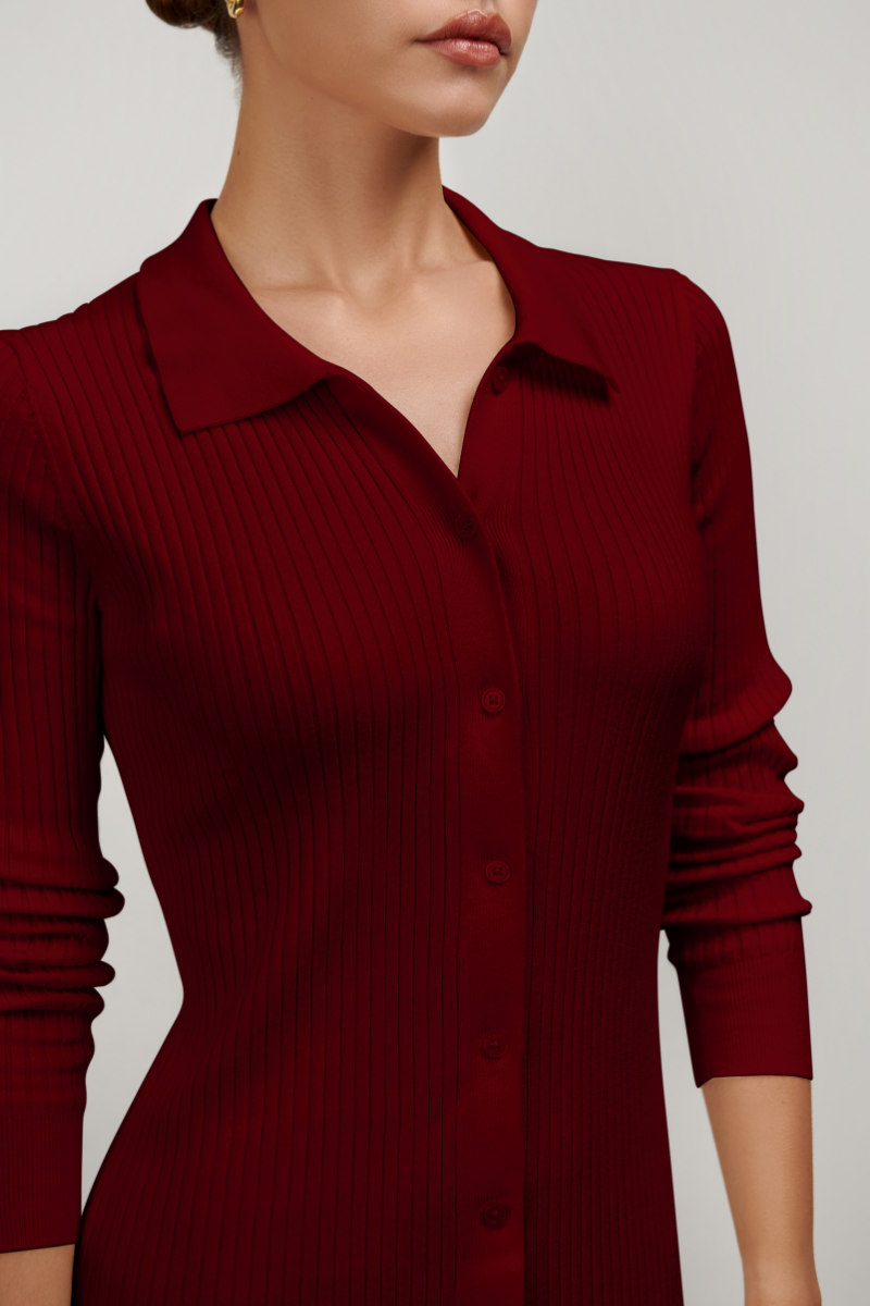 Zara Collared Long-sleeved Knit Dress - Burgundy Parallel 51 Zara Collared Long-sleeved Knit Dress - Burgundy Parallel 51
